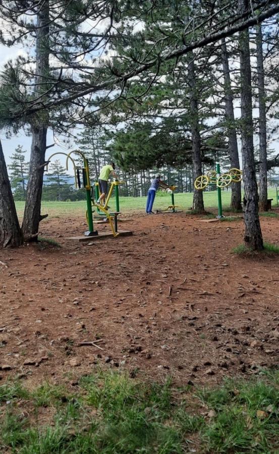 Zlatibor Apartman Jagoda Exteriör bild